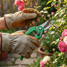 Garden Shears Pruners Scissor for Cutting Branches, Flowers, Leaves, Pruning Seeds